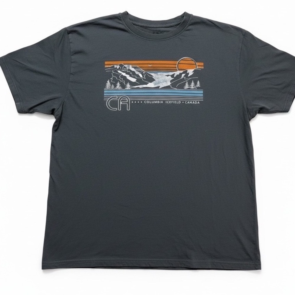 EMI Sportswear Tee Mens XL Gray Columbia‎ Icefield Canada Graphic Tee Souvenir